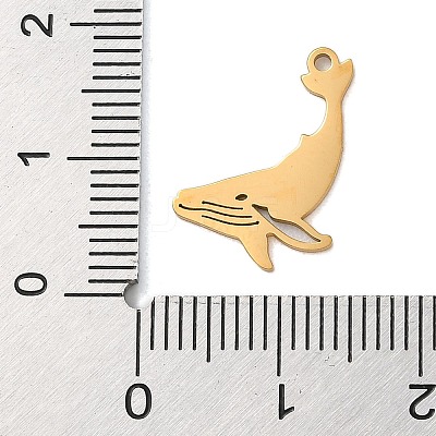 304 Stainless Steel Charms STAS-S138-01G-02-1