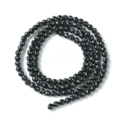Natural Black Tourmaline Beads Strands G-F748-Y01-02-1