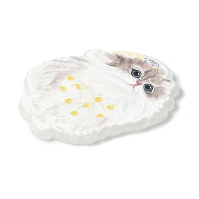 Acrylic Pendants OACR-V001-03C-1