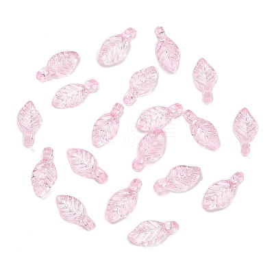 Transparent Acrylic Charms OACR-G054-02G-1