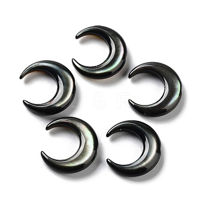 Natural Black Lip Shell Beads SHEL-M020-04A-1