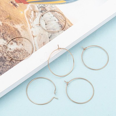 Ion Plating(IP) 316L Surgical Stainless Steel Hoop Earring Findings STAS-D164-01RG-1