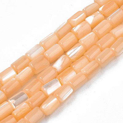 Natural Trochid Shell/Trochus Shell Beads Strands SHEL-N003-26-B06-1