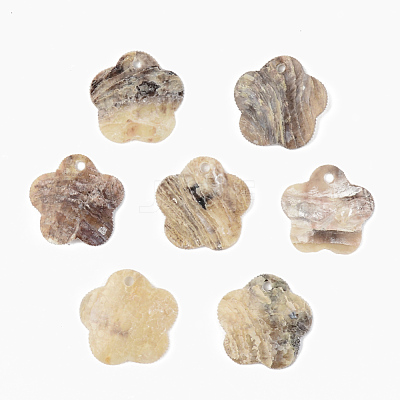 Natural Akoya Shell Pendants X-SHEL-R048-024-1
