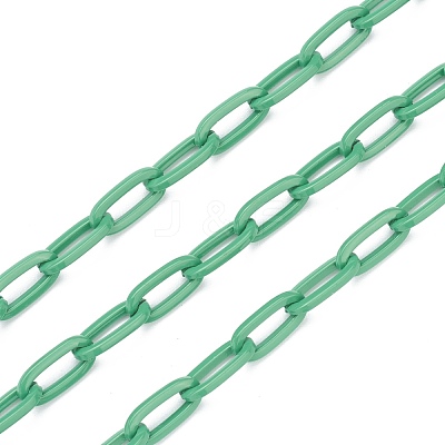 3.28 Feet Eco-friendly Spray Painted Handmade Brass Paperclip Chains X-KK-J276-19-P15-1