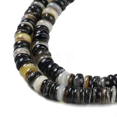 Natural Black Lip Shell Beads Strands BSHE-H109-13C-1