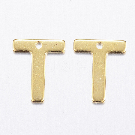 304 Stainless Steel Charms LS-X-STAS-P141-T-1