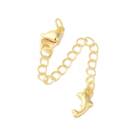 Rack Plating Brass Ends with Chain and Lobster Claw Clasps KK-F873-04G-1