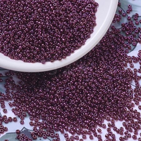 MIYUKI Round Rocailles Beads SEED-G007-RR0313-1