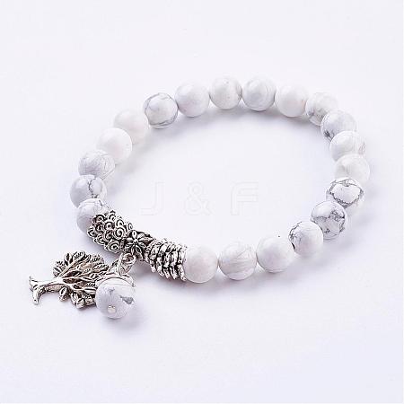 Natural Howlite Stretch Bracelets BJEW-F262-A06-1