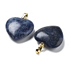 Natural Sodalite Pendants G-G956-B19-G-2