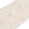 Natural Grey Agate Beads Strands G-C258-01-2