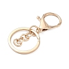 Alloy Keychain Clasps X-FIND-C084-10KCG-2