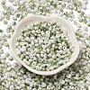 Baking Paint Glass Seed Beads SEED-F006-01A-05-2