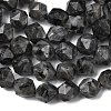 Natural Larvikite Beads Strands G-Z119-A32-03-5