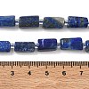 Natural Lapis Lazuli Beads Strands G-K365-I01-01-5