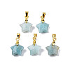 Natural Amazonite Charms X-G-N326-142-08-1