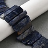 Natural Sodalite Beads Strands G-S386-D19-1