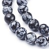 Natural Snowflake Obsidian Beads Strands X-GSR009-2
