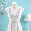 Brass Rhinestone Cloth Patches PATC-WH0031-003S-01-4