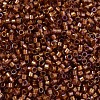 MIYUKI Delica Beads X-SEED-J020-DB1736-3