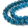 Round Natural Apatite Beads Strands G-K068-04-10mm-3