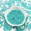 Baking Paint Glass Seed Beads SEED-A033-05O-2
