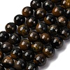Dyed Natural Blue Tiger Iron Beads Strands G-G286-A02-10mm-2
