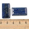 Dyed Natural Lapis Lazuli Pendants G-G123-03B-3