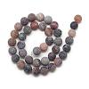 Natural Weathered Agate Bead Strands G-S237-10mm-11-2