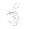 925 Sterling Silver Double Dolphins Charms STER-S009-09S-1