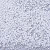 MIYUKI Round Rocailles Beads SEED-G007-RR1104-3