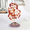 Natural Carnelian Chips Tree Decorations PW-WG19957-06-1