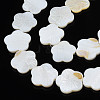 Natural Freshwater Shell Beads Strands SHEL-N026-188-3