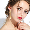 FIBLOOM 2 Pairs 2 Colors Alloy Oval & Rectangle Dangle Earrings for Women EJEW-FI0001-10-5