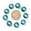 Glass European Beads GDA006-004-3