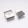304 Stainless Steel Magnetic Clasps with Glue-in Ends STAS-E144-168P-3