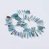 Natural Kyanite/Cyanite/Disthene Beads Strands G-H1483-12-2