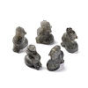 Natural Labradorite Display Decorations DJEW-P019-A08-1