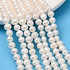 Natural Cultured Freshwater Pearl Beads Strands PA-CBABE82-15A-1