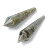 Natural Labradorite Beads G-H256-05-1