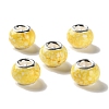 Brass Cores Acrylic European Beads OACR-M024-06P-04-1