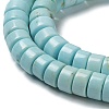 Natural Howlite Beads Strands G-E604-A04-B-4