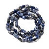 Natural Sodalite Beads Strands G-I389-A08-3