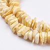 Natural Sea Shell Beads Strands BSHE-K012-08B-3