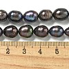 Natural Cultured Freshwater Pearl Rice Beads Strands PEAR-XCP0001-06-5