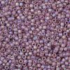 TOHO Round Seed Beads SEED-XTR08-0166F-2