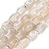 Tibetan Style dZi Beads Strands GG-CBA4812-C04-8X12MM-2