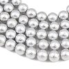 Wrinkle Textured Shell Pearl Beads Strands BSHE-E016-10mm-08-4