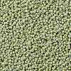 MIYUKI Round Rocailles Beads SEED-G008-RR4473-3